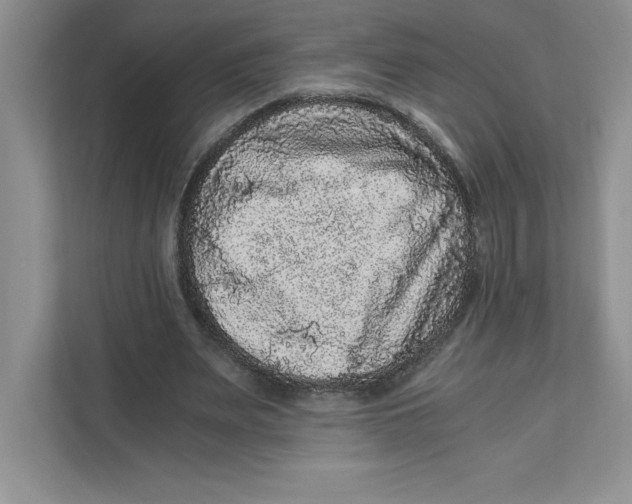 X0000110870487200907091404