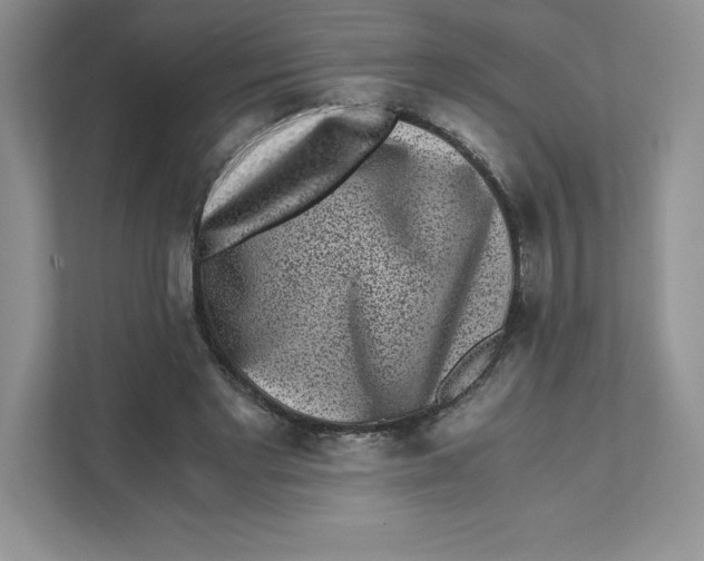 X0000110870493200907091404