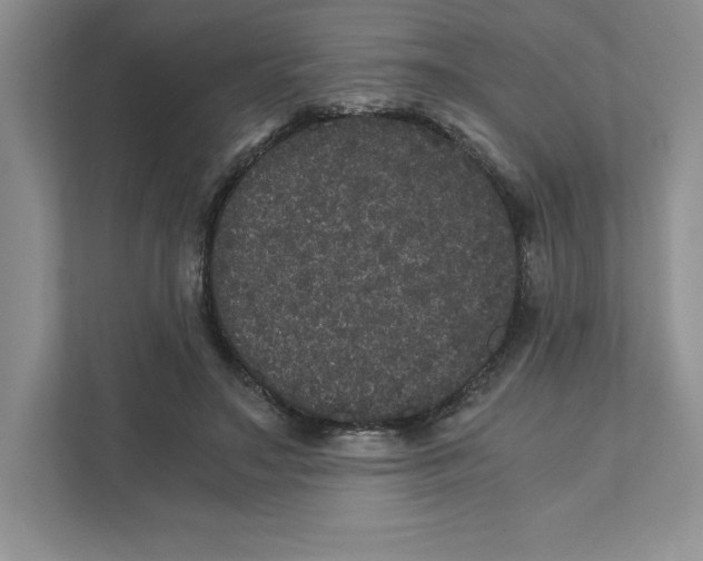 X0000110870499200907091404