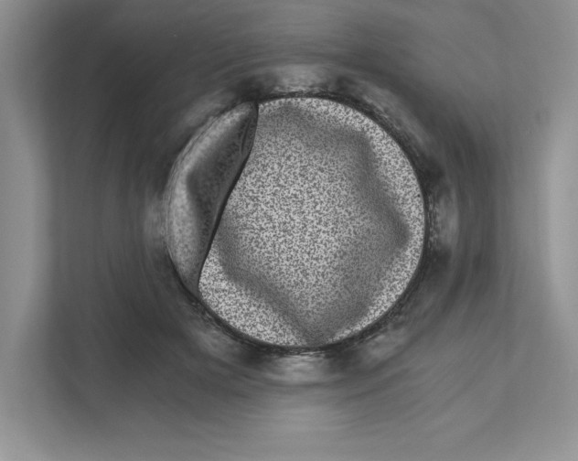 X0000110870505200907091404