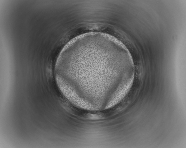 X0000110870510200907091404