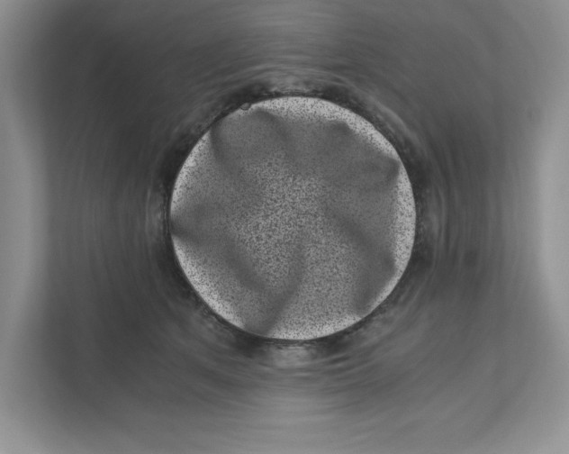 X0000110870513200907091404