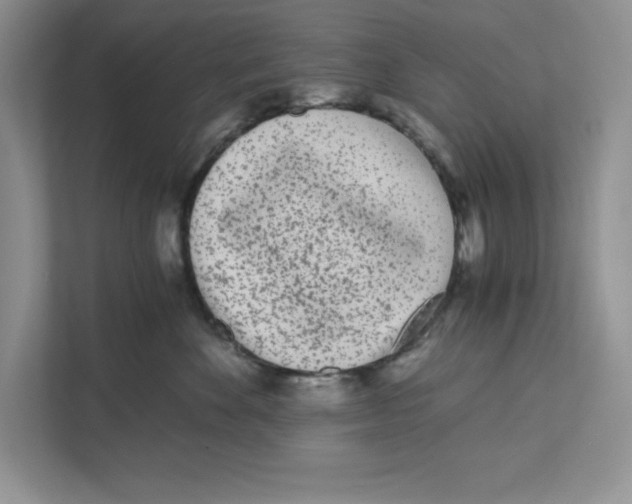 X0000110870524200907091403