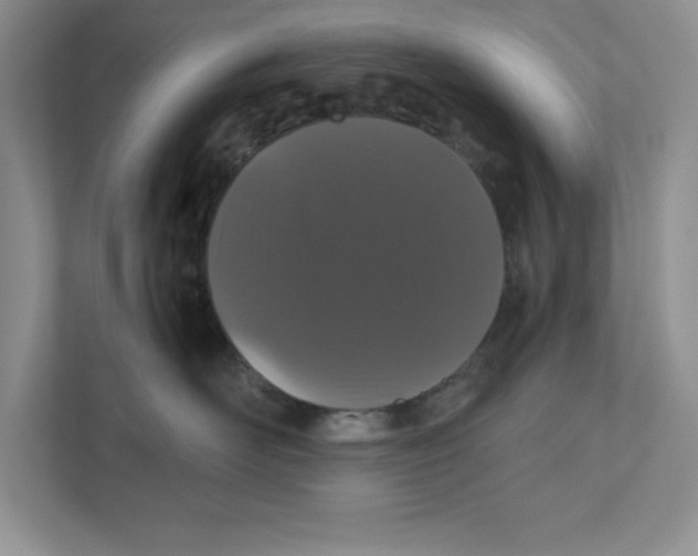 X0000110870526200907091403