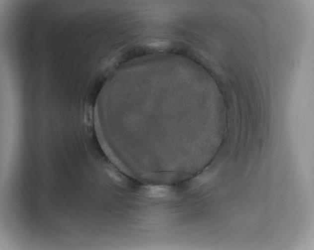 X0000110870528200907091403