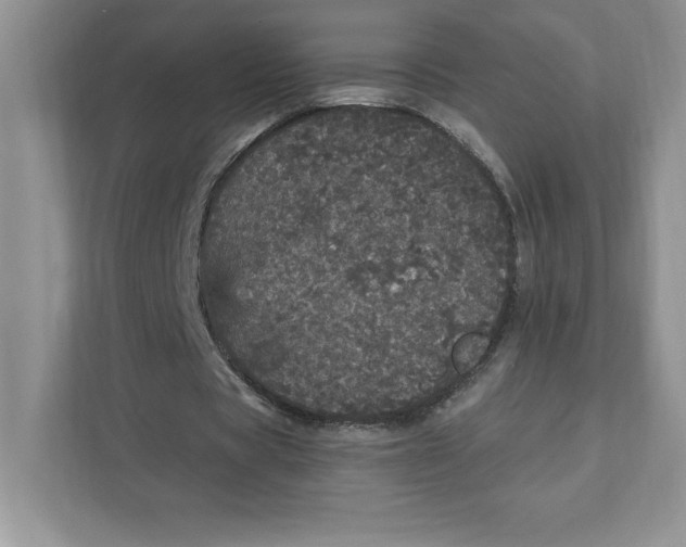 X0000110870529200907091403