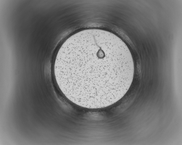 X0000110870534200907091403