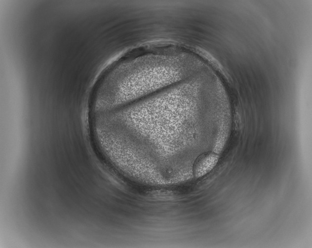 X0000110870535200907091403