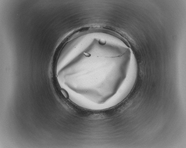 X0000110870536200907091403