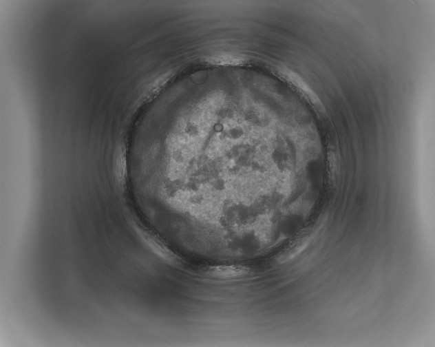 X0000110870541200907091403