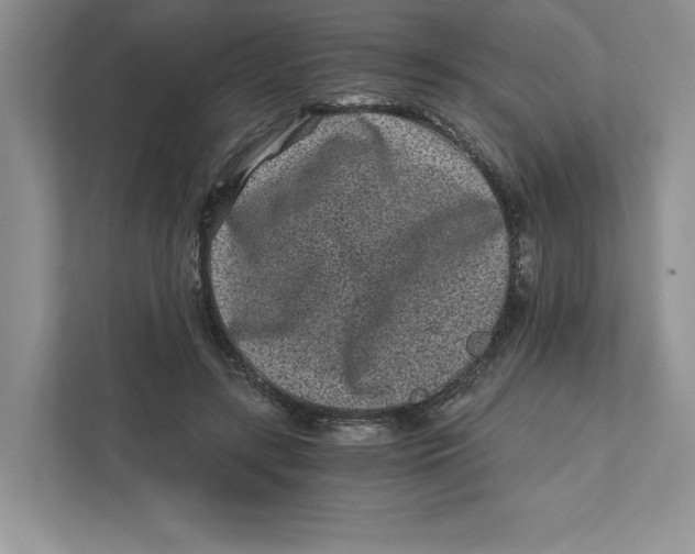 X0000110870547200907091403