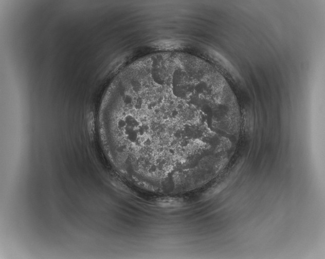 X0000110870549200907091403