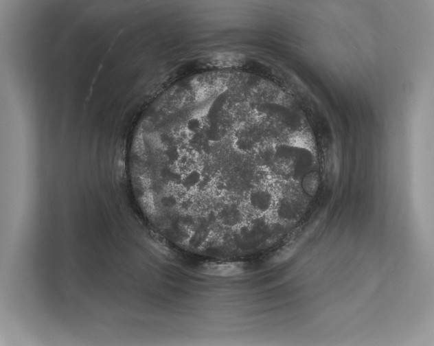 X0000110870553200907091403