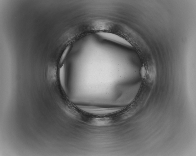 X0000110870556200907091403