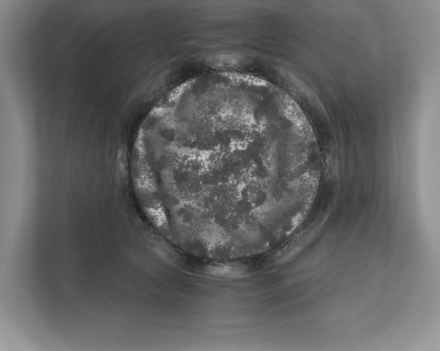 X0000110870561200907091403