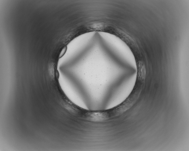 X0000110870562200907091403