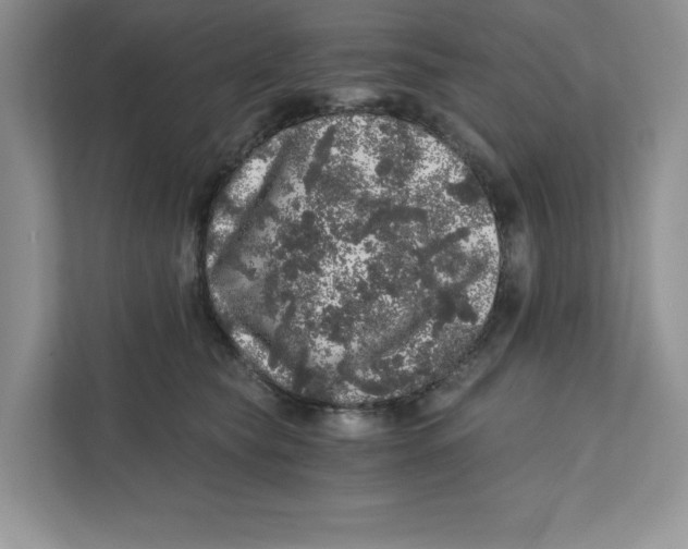 X0000110870565200907091403