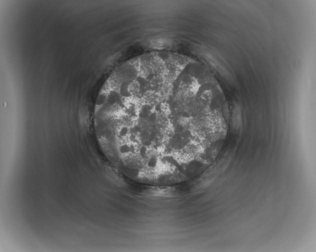 X0000110870569200907091403