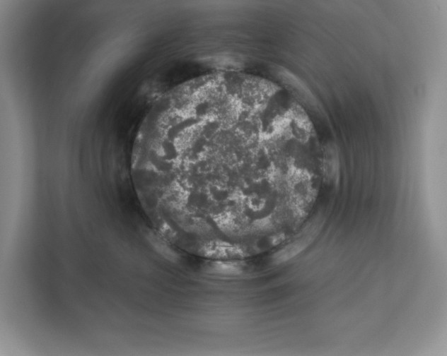 X0000110870573200907091403