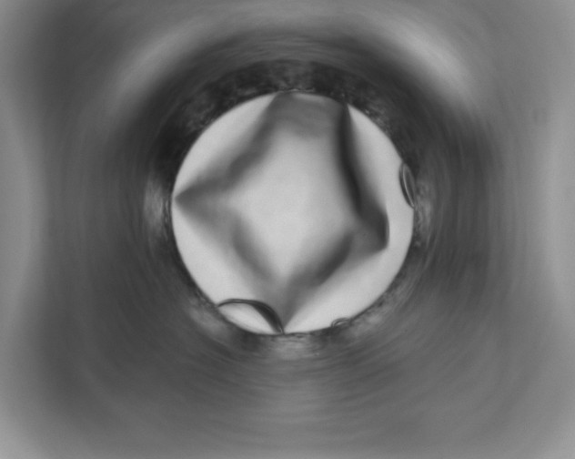 X0000110870574200907091403