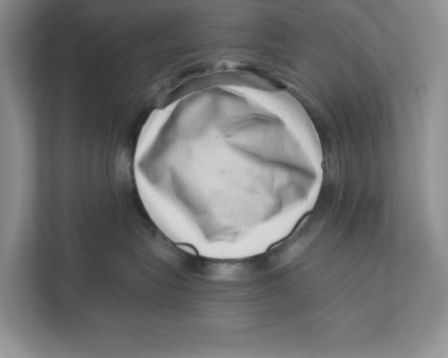 X0000110870575200907091403