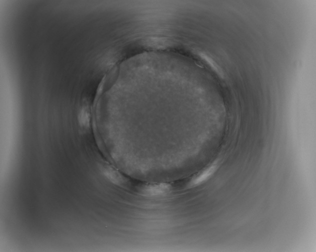 X0000110870576200907091403