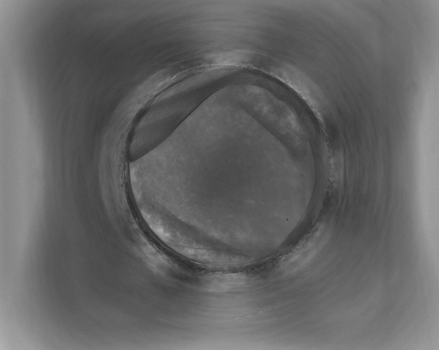 X0000110870577200907091403