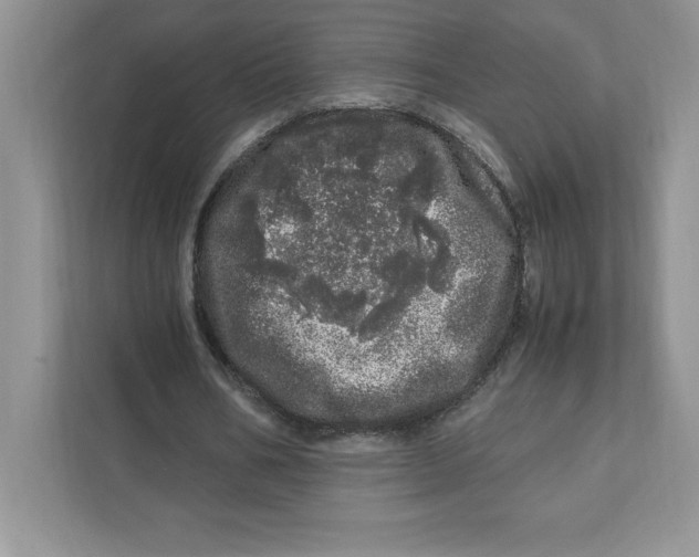 X0000110870578200907091403