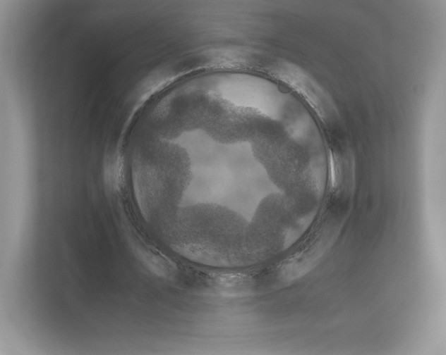 X0000110870579200907091403