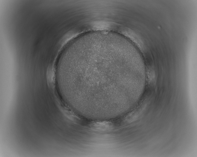 X0000110870583200907091403