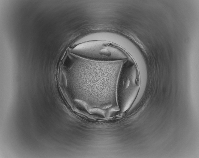 X0000110870585200907091403