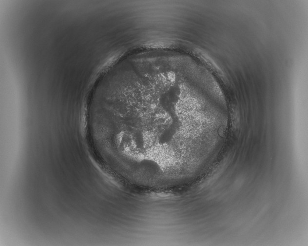 X0000110870586200907091402