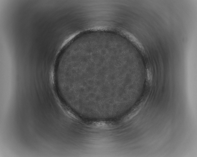 X0000110870588200907091402