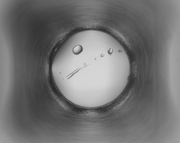 X0000110870589200907091402