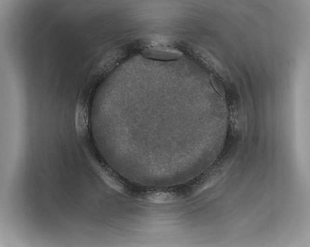 X0000110870593200907091402