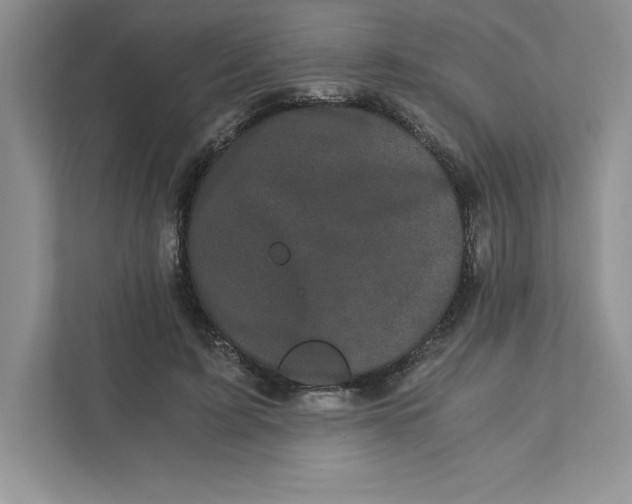 X0000110870595200907091402