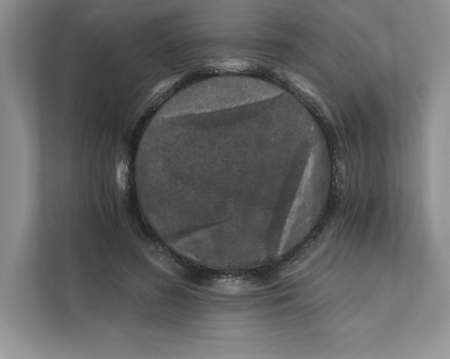 X0000110870596200907091402