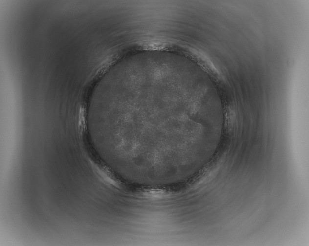 X0000110870598200907091402