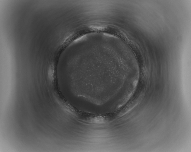 X0000110870600200907091402