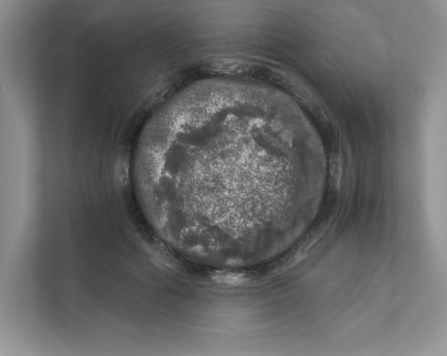 X0000110870602200907091402