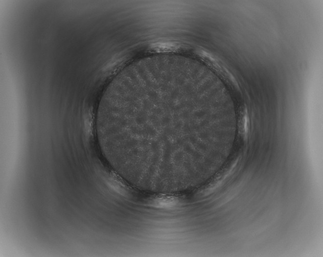 X0000110870604200907091402