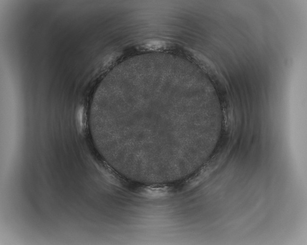 X0000110870606200907091402