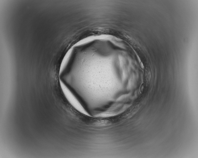 X0000110870609200907091402