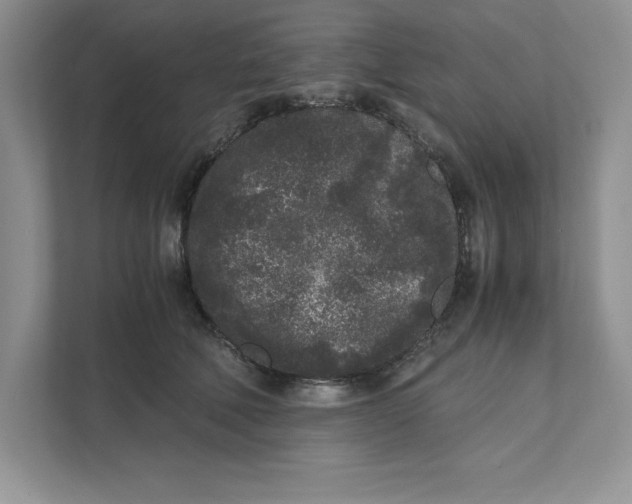 X0000110870610200907091402