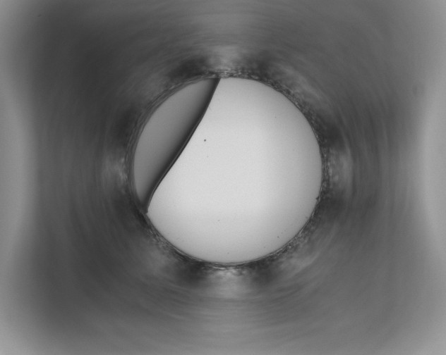 X0000110870611200907091402