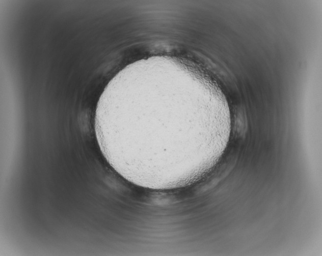 X0000110870616200907091402