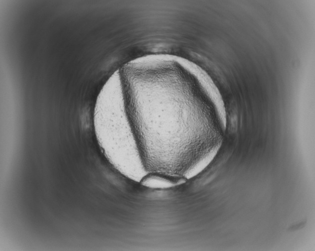 X0000110870620200907091402