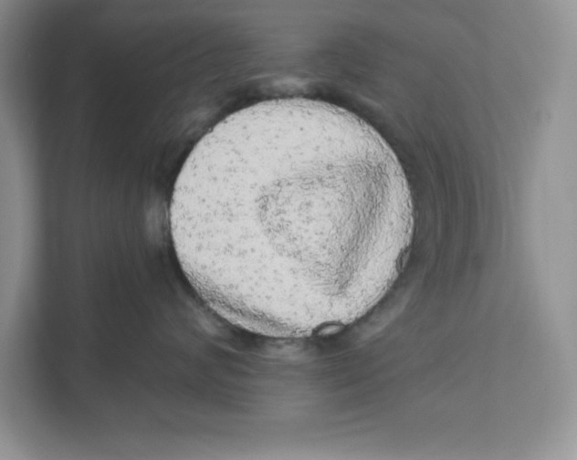 X0000110870624200907091402