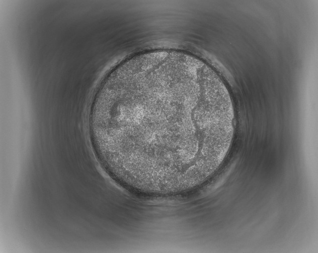 X0000110870625200907091401