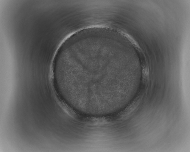 X0000110870628200907091401